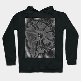 Tarantula Spiderling V33 Hoodie